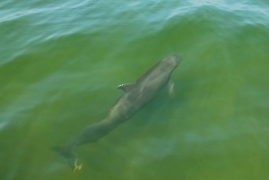 St. Petersburg: Scenic Segway Tour