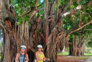 St. Petersburg: Scenic Segway Tour