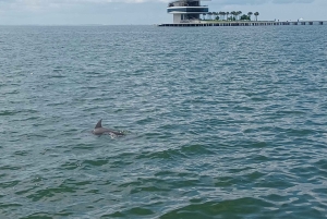 St. Petersburg: Scenic Segway Tour