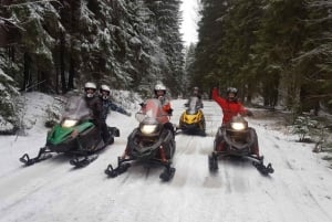 St. Petersburg: Snowmobile Forest Safari Adventure