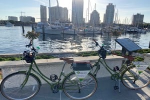 St. Petersburg: Welcome to St. Pete Biking Tour