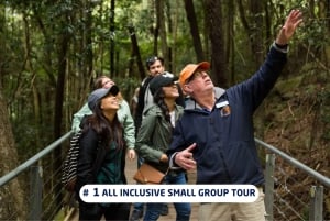 Sydney: Blue Mountains Trip with Lunch*, Cruise & Options