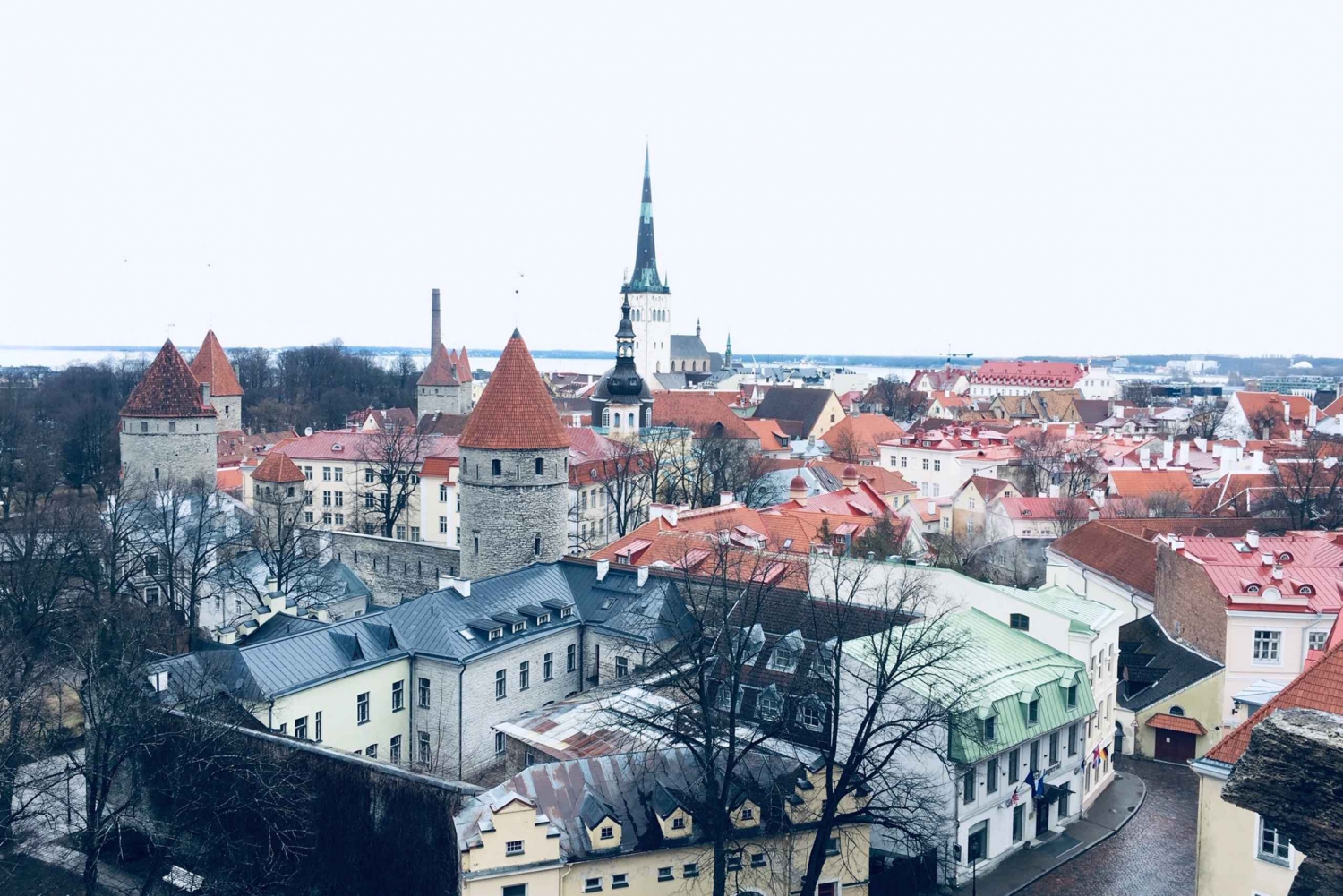 Tallinn: excursão de um dia saindo de Helsinque com embarque no hotel