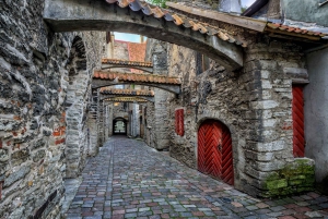 Tallinn: Day Tour from Helsinki with Hotel Pickup