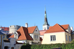 Tallin: Excursión en tierra a lo más destacado con traslado de ida y vuelta