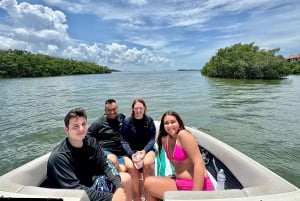 Tampa Bay: Private Sunrise Dolphin & Island Cruise