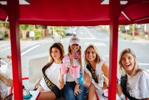 Trolley Pub Party Bike through St. Pete with Bar+Mural Stops