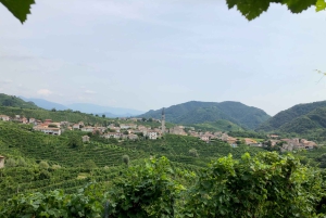 Venice: Prosecco Hills Wineries Tour with Tastings and Lunch