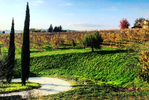Venice: Prosecco Hills Wineries Tour with Tastings and Lunch