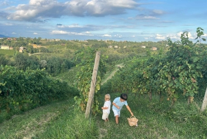 Venice: Prosecco Hills Wineries Tour with Tastings and Lunch