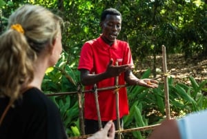 Zanzibar: Day Trip Stone Town, Spice Tour, Prison Island