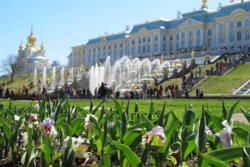 Peterhof