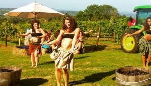 Let's STOMP! On the Sunshine Coast