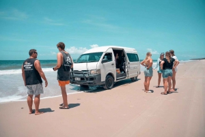 Depuis Brisbane : excursion d'une journée sur l'île de Bribie