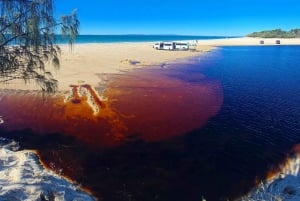 Depuis Brisbane : excursion d'une journée sur l'île de Bribie