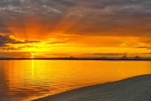 Depuis Brisbane : excursion d'une journée sur l'île de Bribie