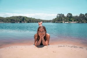 Depuis Brisbane : excursion d'une journée sur l'île de Bribie