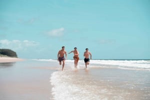 Depuis Brisbane : excursion d'une journée sur l'île de Bribie