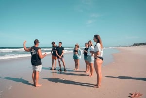 Depuis Brisbane : excursion d'une journée sur l'île de Bribie