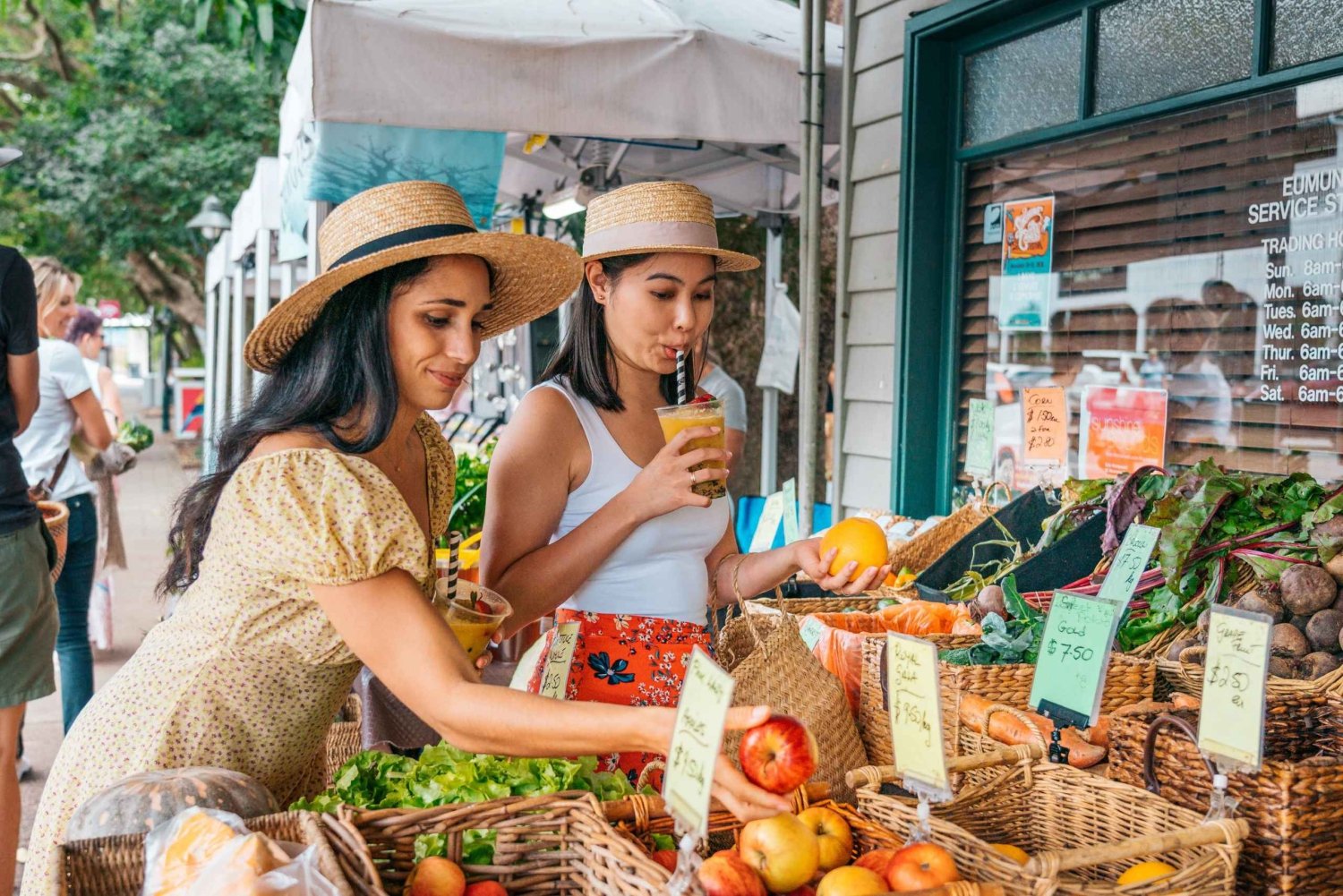Brisbane: Sunshine Coast Hinterland and Noosa Day Tour