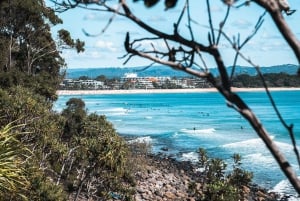 Brisbane: Sunshine Coast Hinterland & Noosa tur i liten grupp