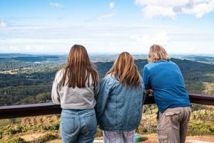 Brisbane: Sunshine Coast Hinterland & Noosa tur i liten grupp