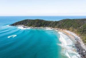 Brisbane: Sunshine Coast Hinterland & Noosa tur i liten grupp