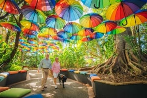 Visite privée de l'arrière-pays de la Sunshine Coast au départ de Brisbane