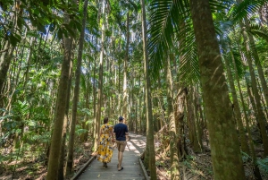 Visite privée de l'arrière-pays de la Sunshine Coast au départ de Brisbane