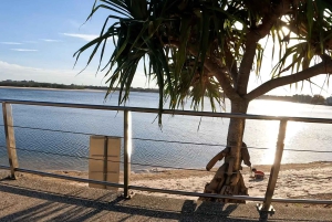 Caloundra: Easy Peasy Rumba E-Bike Tour with Local Guide
