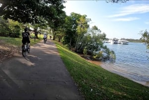 Odkryj północne wybrzeże Noosa: ekologiczna wycieczka z przewodnikiem na rowerach elektrycznych