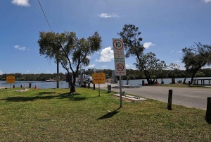 Odkryj północne wybrzeże Noosa: ekologiczna wycieczka z przewodnikiem na rowerach elektrycznych