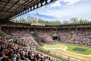 Desde Brisbane: Zoo de Australia y delicias costeras