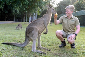 From Brisbane: Australia Zoo Entry Ticket and Koala Cuddle