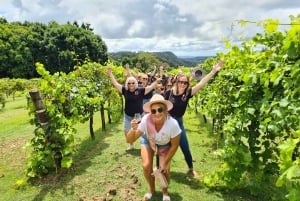 From Montville: Sunshine Coast Hinterland Cheese & Wine Tour