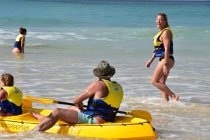 Från Noosa: Kajakpaddling med delfiner och 4X4-tur till stranden