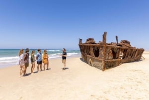 Fra Sydney: 16-dages tur til det bedste af Australiens østkyst