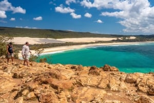 Fra Sydney: 16-dages tur til det bedste af Australiens østkyst