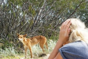 Fra Sydney: 16-dages tur til det bedste af Australiens østkyst