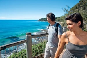Fra Sydney: 16-dages tur til det bedste af Australiens østkyst
