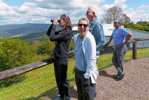 Visita VIP a la Fábrica de Jengibre y Mountville desde Brisbane