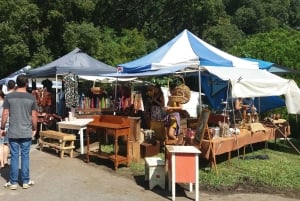 Glass House Mountains: Big Pineapple & Eumundi Markets Tour