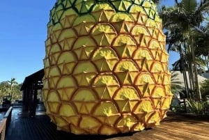 Glass House Mountains: Big Pineapple & Eumundi Markets Tour