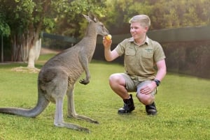 Gold Coast: Australia Zoo Ticket and Roundtrip Transfer