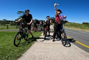Sunshine Coast: Maleny Magic guidet tur på elcykel
