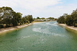 Maroochydore: Private Maroochy River Eco Cruise with Lunch