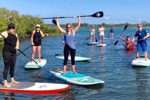 Maroochydore: Gruppelektion i stand-up paddleboarding