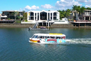Mooloolaba: 1-Hour Land and Water Tour