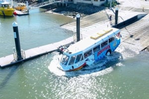 Mooloolaba: 1-Hour Land and Water Tour