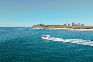 ムールーラバ：アドベンチャー ラフティング タートル ツアー